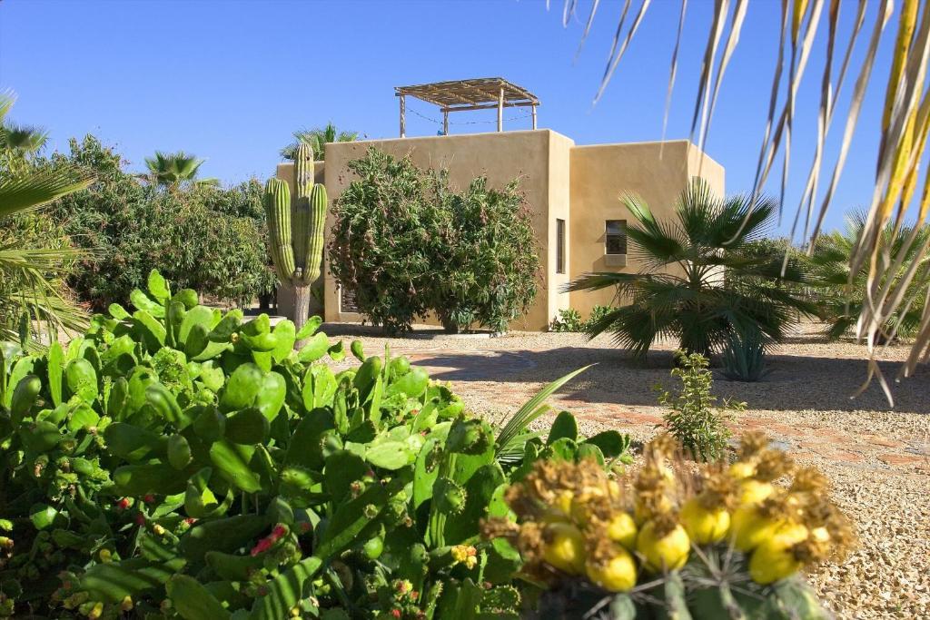 Sole Caliente Villa Тодос Сантос Екстериор снимка